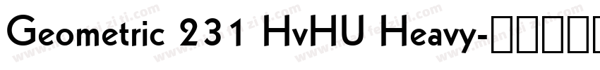 Geometric 231 HvHU Heavy字体转换